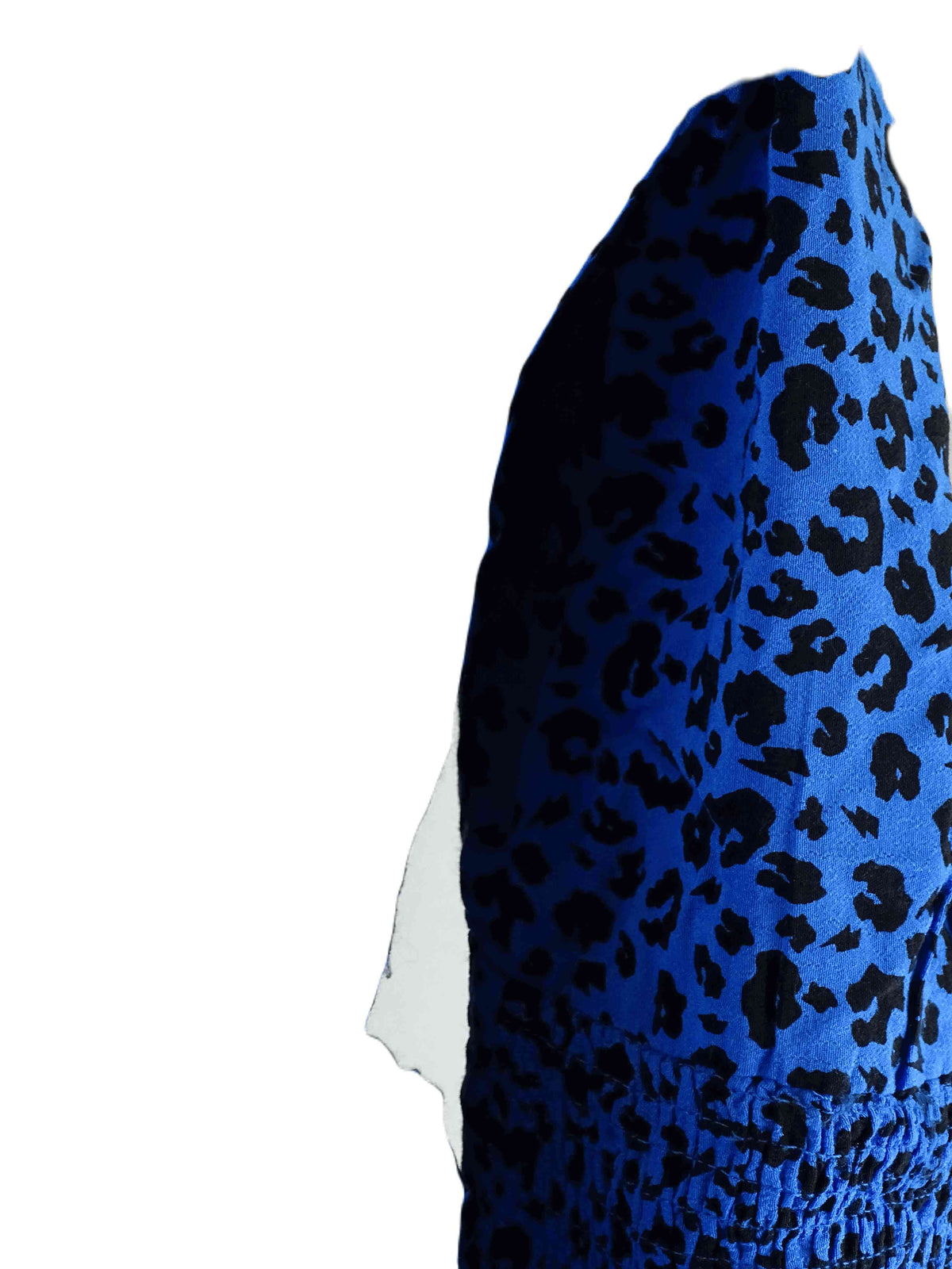 Scamp &amp; Dude Blue Patterned Dress 14
