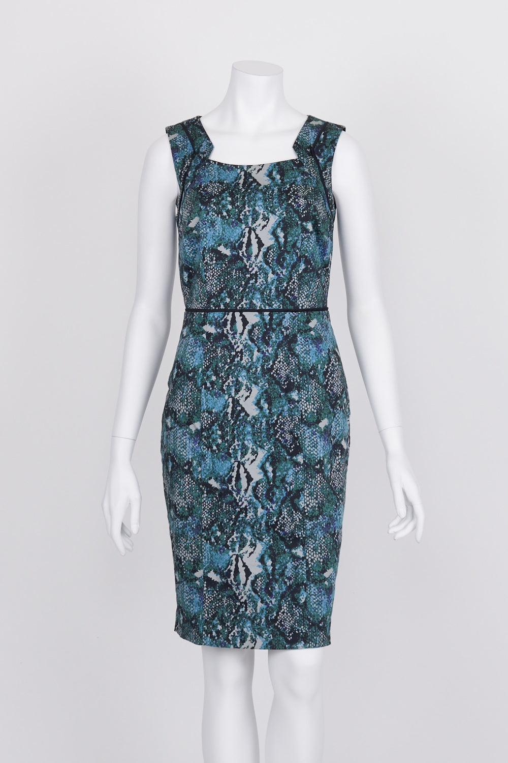 Jacqui E Patterned Sleeveless Dress 8